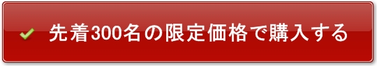 ������ʉ��i�ōw������